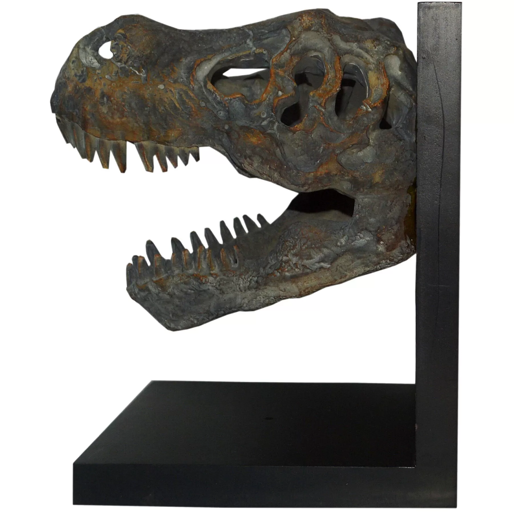 * Cheap Online Resin T-Rex Fossil Head Bookend