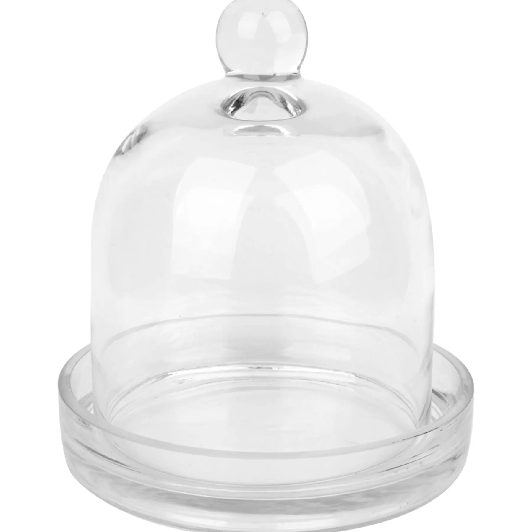 * Exclusive Clear Glass Cloche Tray, 12