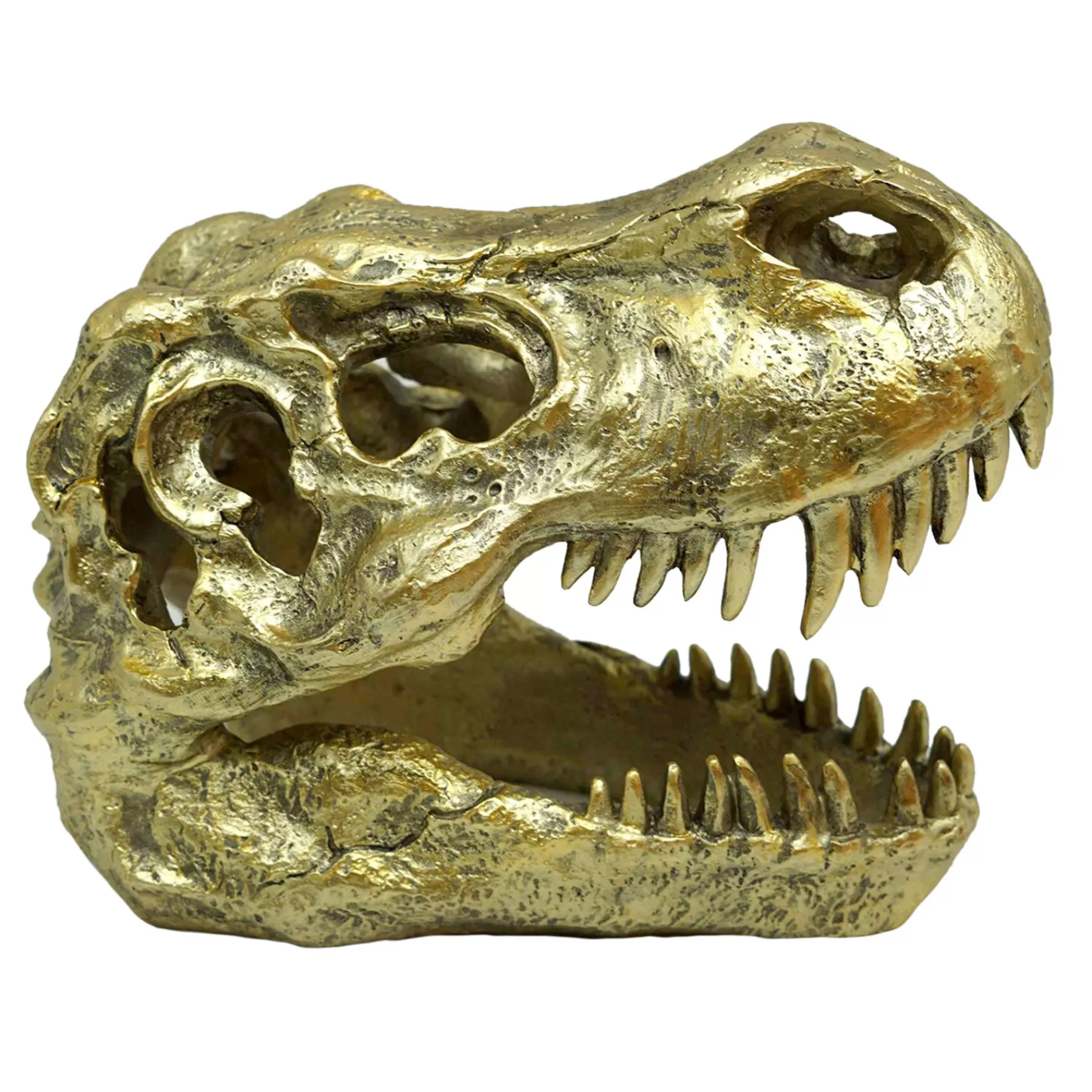 * Exclusive Gold T-Rex Fossil Head, 6